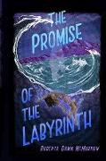 The Promise of the Labyrinth
