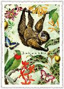 Postkarte. Sweet Memories. Wildlife-Edition, Faultier / hoch