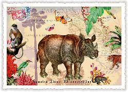 Postkarte. Sweet Memories. Wildlife-Edition, Sumatra Nashorn / quer