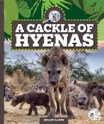 A Cackle of Hyenas