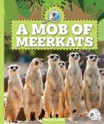 A Mob of Meerkats