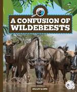 A Confusion of Wildebeests