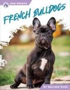 French Bulldogs