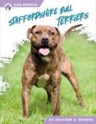 Staffordshire Bull Terriers