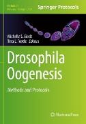 Drosophila Oogenesis