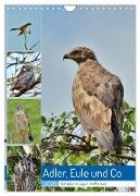 Adler, Eule und Co - Gefiederte Jäger im Portrait (Wandkalender 2025 DIN A4 hoch), CALVENDO Monatskalender