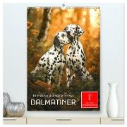Dalmatiner - freundlich und temperamentvoll (hochwertiger Premium Wandkalender 2025 DIN A2 hoch), Kunstdruck in Hochglanz