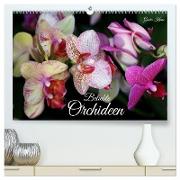 Beliebte Orchideen (hochwertiger Premium Wandkalender 2025 DIN A2 quer), Kunstdruck in Hochglanz