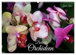 Beliebte Orchideen (Wandkalender 2025 DIN A2 quer), CALVENDO Monatskalender