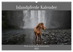 Islandpferde Kalender - Pferde von der Insel aus Feuer und Eis (Wandkalender 2025 DIN A2 quer), CALVENDO Monatskalender