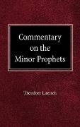 Commentary on the Minor Prophets