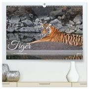 Tiger von Ranthambore (hochwertiger Premium Wandkalender 2025 DIN A2 quer), Kunstdruck in Hochglanz