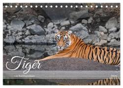 Tiger von Ranthambore (Tischkalender 2025 DIN A5 quer), CALVENDO Monatskalender