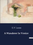 A Wanderer In Venice