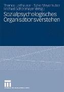 Sozialpsychologisches Organisationsverstehen