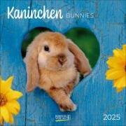 Kaninchen 2025