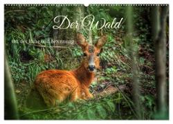 Der Wald - Ort der Ruhe und Besinnung (Wandkalender 2025 DIN A2 quer), CALVENDO Monatskalender