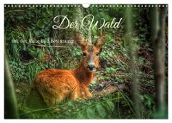 Der Wald - Ort der Ruhe und Besinnung (Wandkalender 2025 DIN A3 quer), CALVENDO Monatskalender