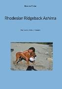 Rhodesian Ridgeback Ashima