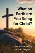 What on Earth are you Doing for Christ?