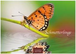 Schmetterlinge 2025 L 35x50cm