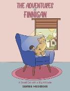 The Adventures Of Finnigan