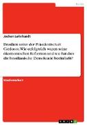 Brasilien unter der Präsidentschaft Cardosos. Wie erfolgreich waren seine ökomomischen Reformen und wie hat dies die brasilianische Demokratie beeinflusst?