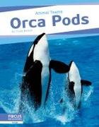 Orca Pods