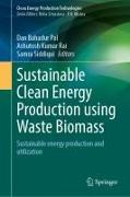 Sustainable Clean Energy Production Using Waste Biomass