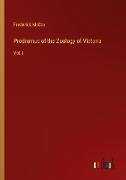 Prodromus of the Zoology of Victoria