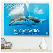 Buckelwale: Aus den blauen Tiefen der Ozeane (hochwertiger Premium Wandkalender 2025 DIN A2 quer), Kunstdruck in Hochglanz