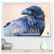 Rabenvögel: Schwarz, schlau, schön (hochwertiger Premium Wandkalender 2025 DIN A2 quer), Kunstdruck in Hochglanz