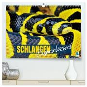 Schlangen: Zupackend (hochwertiger Premium Wandkalender 2025 DIN A2 quer), Kunstdruck in Hochglanz