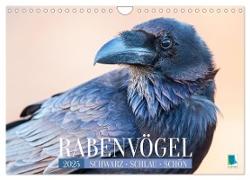 Rabenvögel: Schwarz, schlau, schön (Wandkalender 2025 DIN A4 quer), CALVENDO Monatskalender