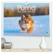 Puma: Auf leisen Pfoten (hochwertiger Premium Wandkalender 2025 DIN A2 quer), Kunstdruck in Hochglanz