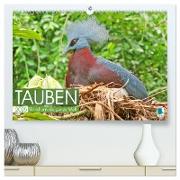 Tauben rund um die ganze Welt (hochwertiger Premium Wandkalender 2025 DIN A2 quer), Kunstdruck in Hochglanz