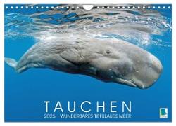 Tauchen: Wunderbares tiefblaues Meer (Wandkalender 2025 DIN A4 quer), CALVENDO Monatskalender