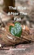 The Rise After The Fall