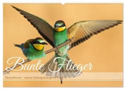 Bunte Flieger (Wandkalender 2025 DIN A2 quer), CALVENDO Monatskalender