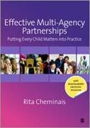 Effective Multi-Agency Partnerships