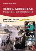 Ketose, Azidose & Co