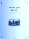 Derecho penal juvenil