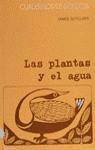 Las plantas y el agua