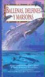 Ballenas, delfines y marsopas