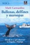 Ballenas, delfines y marsopas