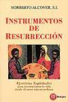 Instrumentos de resurrección : ejercicios espirituales para reestructurar la vida desde el amor misericordioso