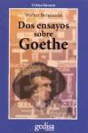 Dos ensayos sobre Goethe