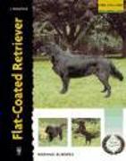 Flat-coated retriever