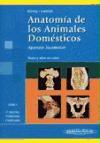 Anatomía de los animales domésticos : órganos, sistema circulatorio y sistema nervioso