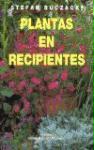 Plantas en recipientes